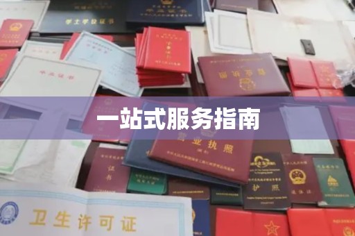 青白江一站式服务指南